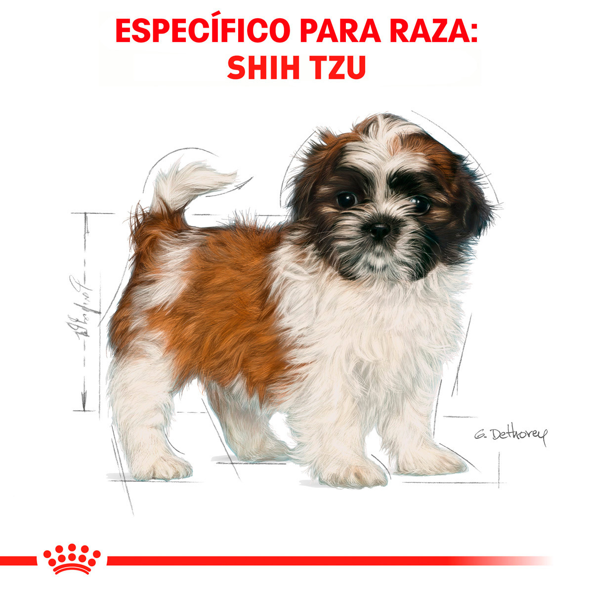Royal Canin BHN Shih Tzu Puppy 1.14 Kg