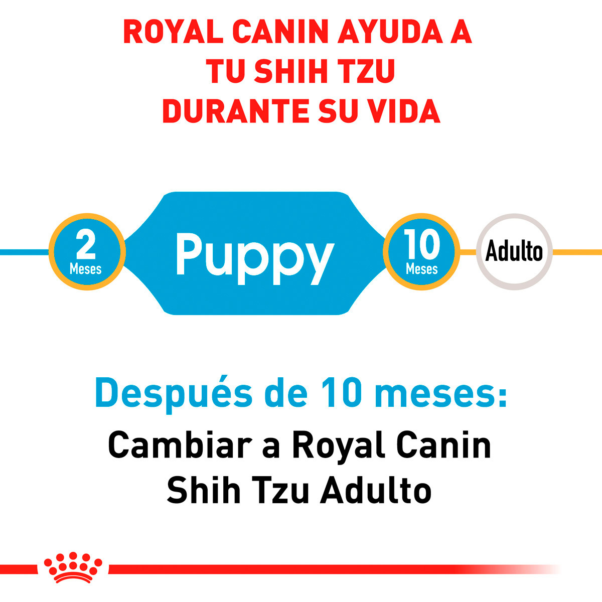 Royal Canin BHN Shih Tzu Puppy 1.14 Kg