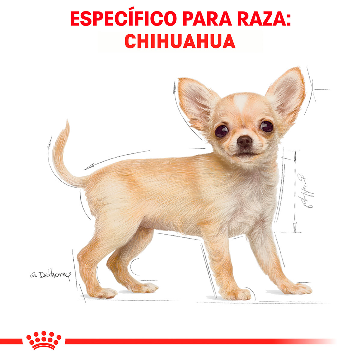 Royal Canin BHN Chihuahua Puppy 1.14 Kg