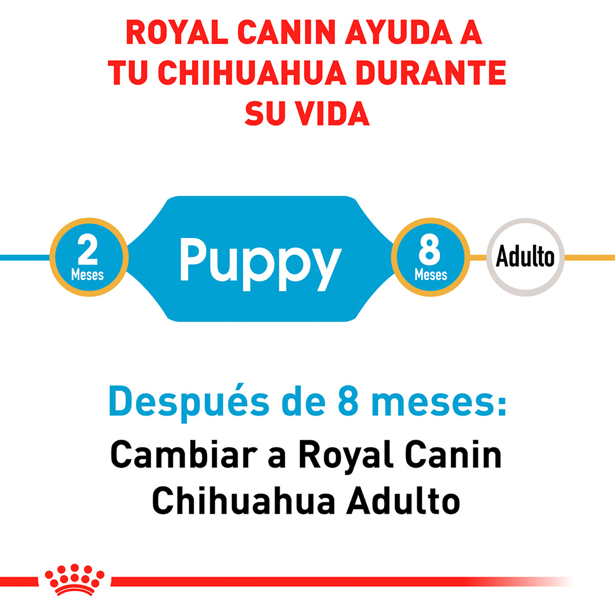 Royal Canin BHN Chihuahua Puppy 1.14 Kg