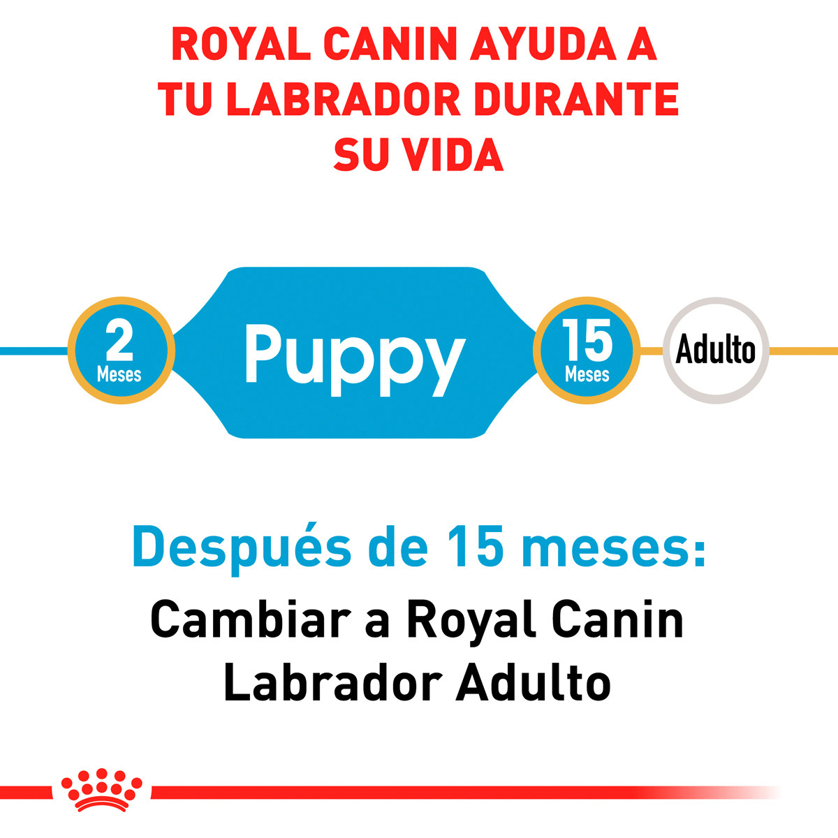 Royal Canin BHN Labrador Retriever Puppy 13.6 Kg
