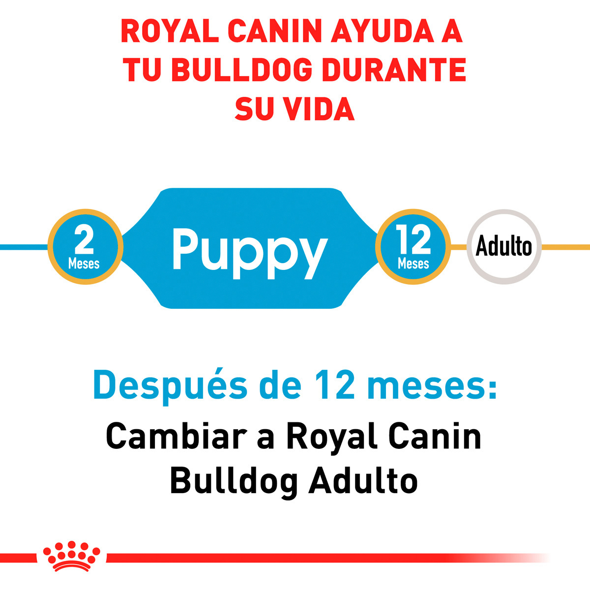 Royal Canin BHN Bulldog Puppy 2.73 Kg