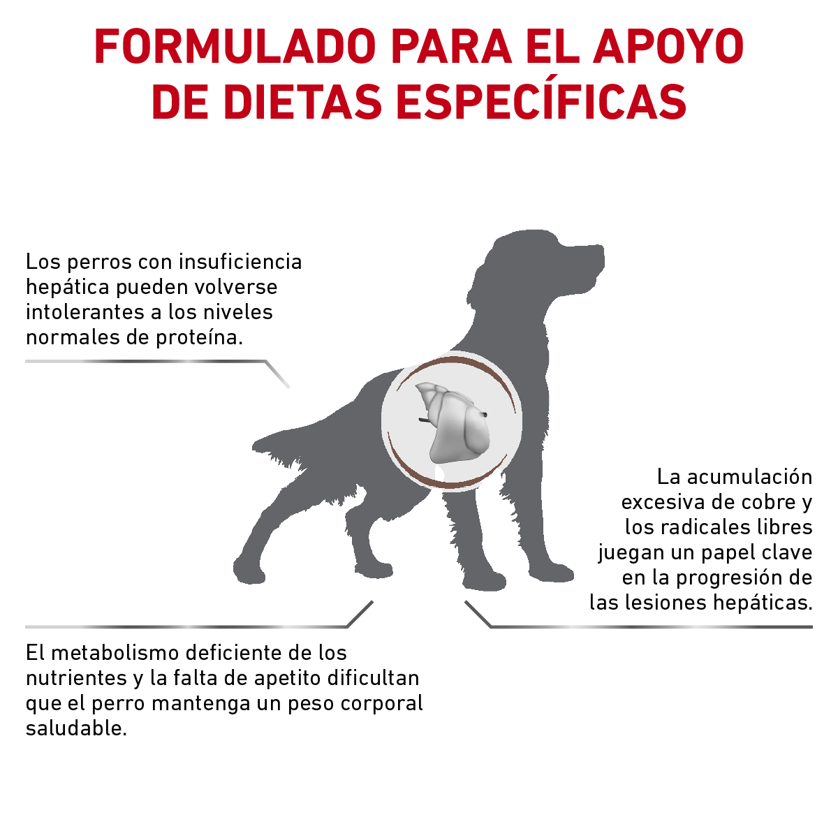 Royal Canin Hepatic Dog 3.5 Kg