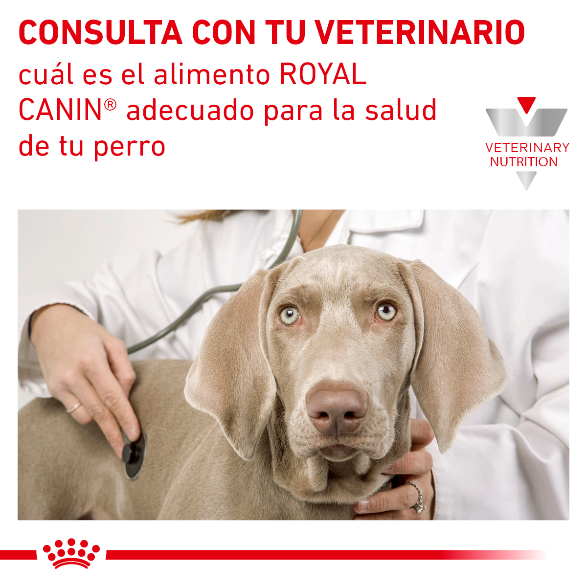 Royal Canin Satiety Support 12 Kg