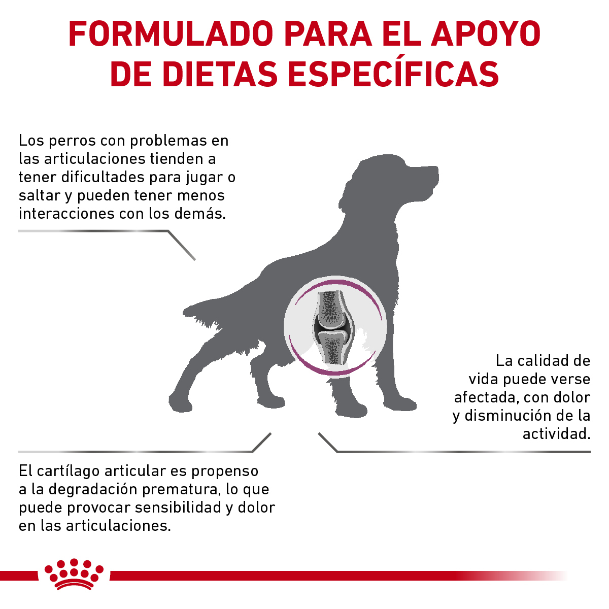 Royal Canin Advanced Mobility Canine 12 Kg