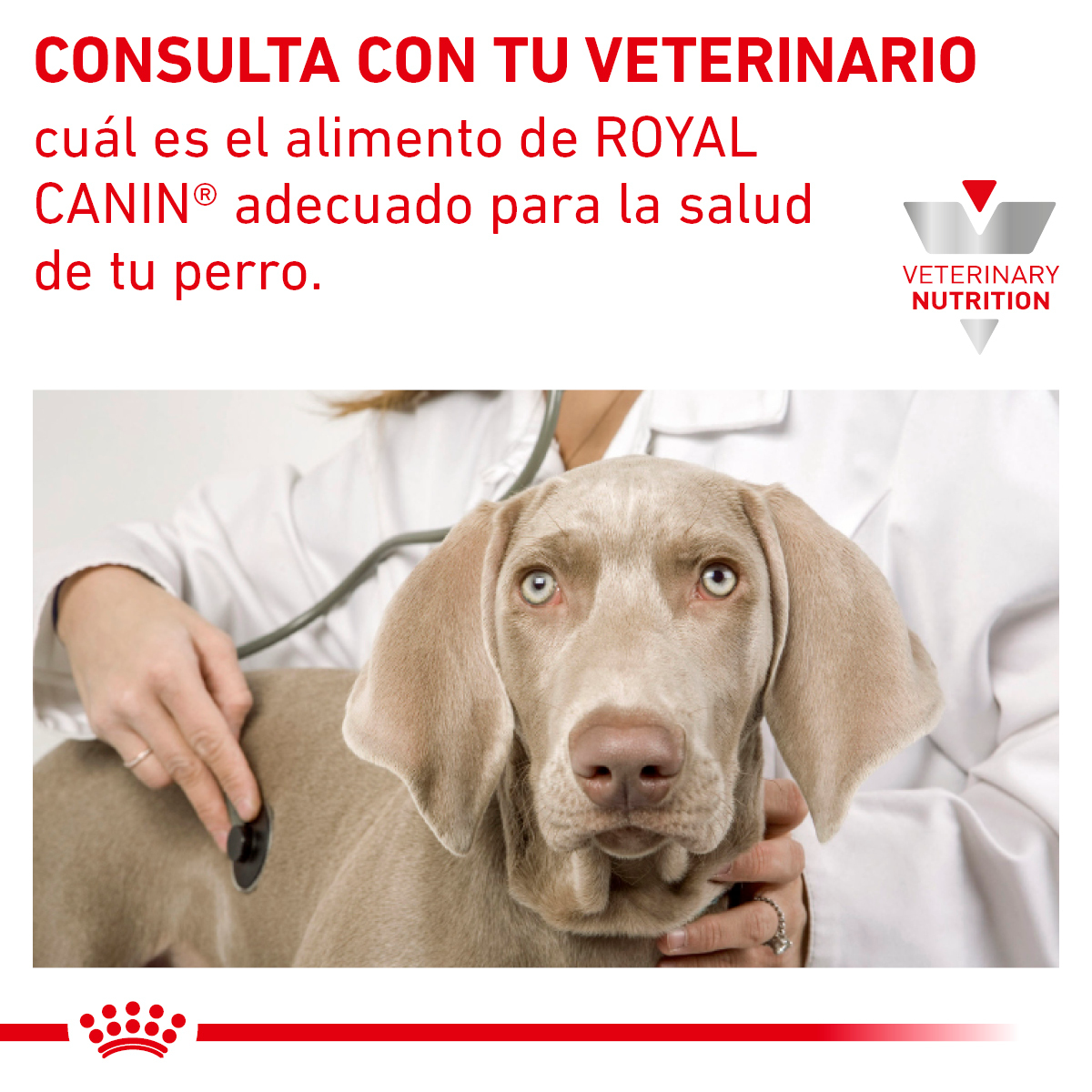 Royal Canin Advanced Mobility Canine 12 Kg