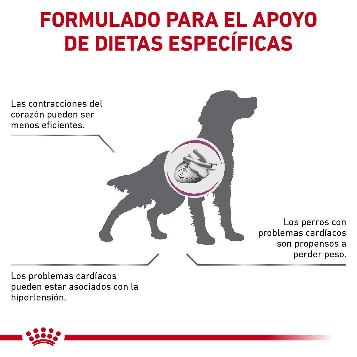 Royal Canin Early Cardiac 3.5 Kg