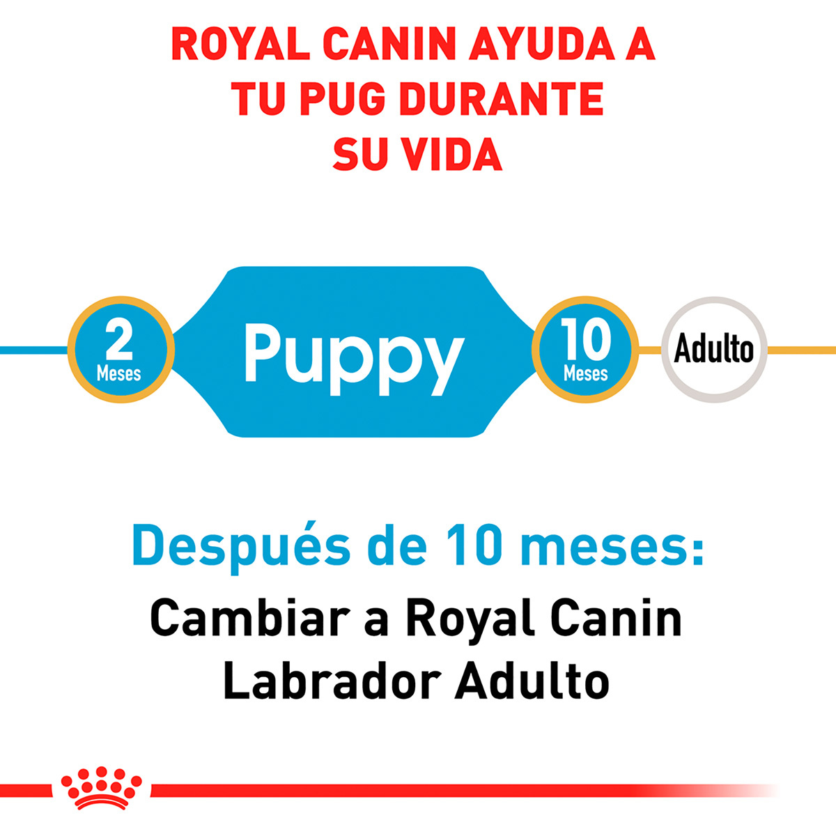 Royal Canin BHN Pug Puppy 1.14 Kg
