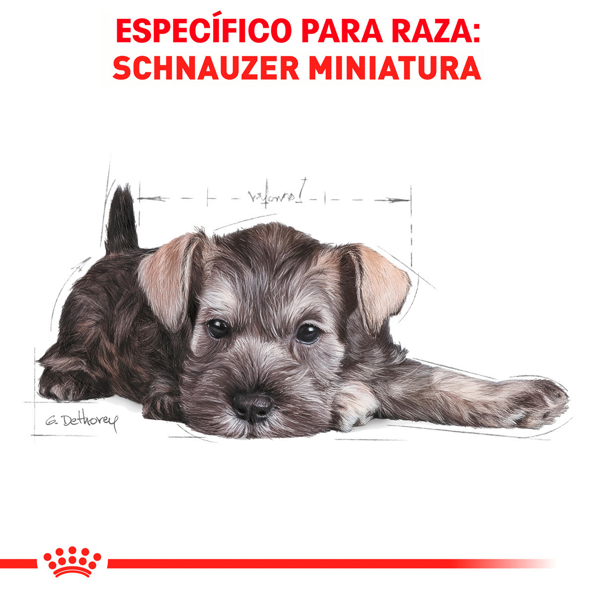 Royal Canin BHN Miniature Schnauzer Puppy 1.14 Kg