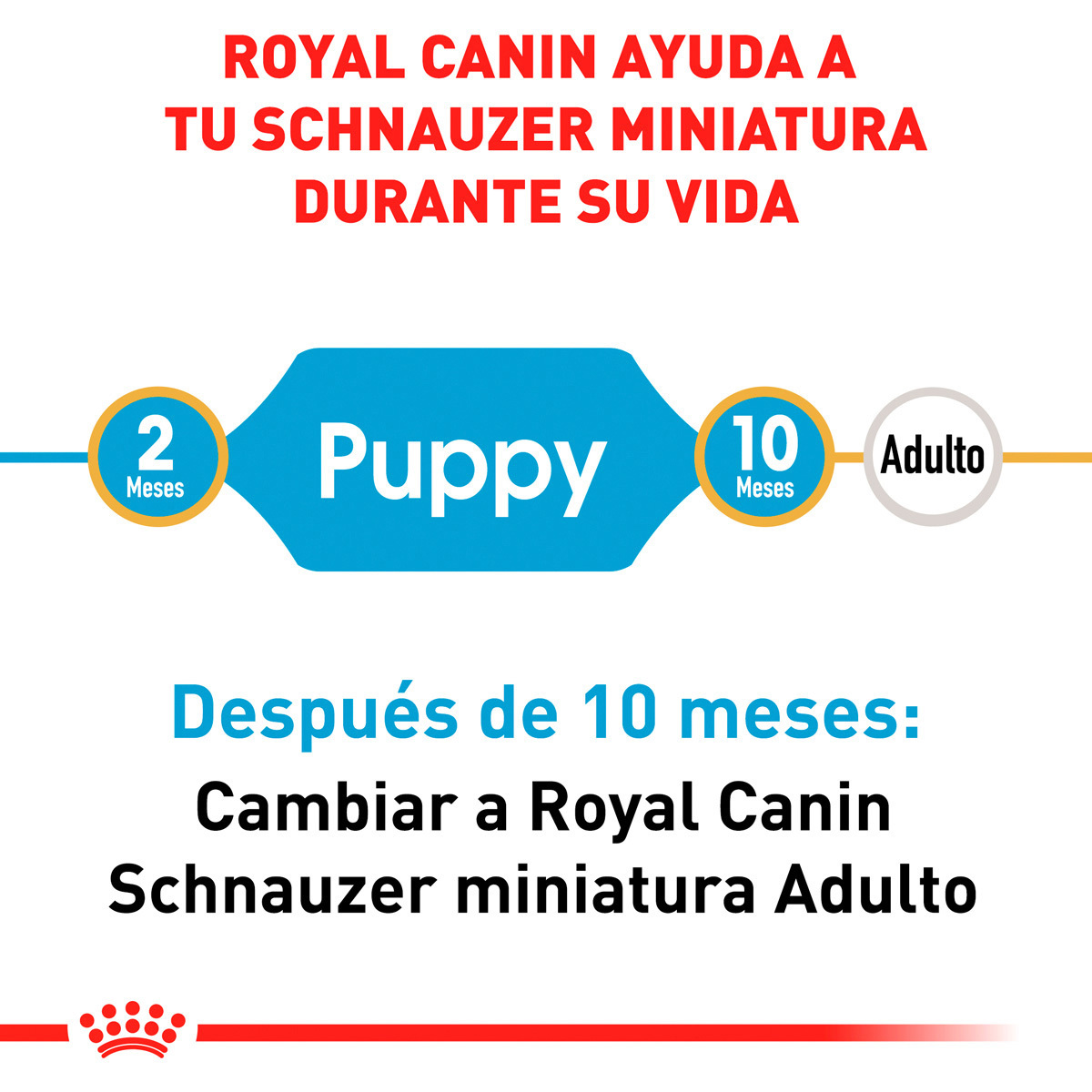 Royal Canin BHN Miniature Schnauzer Puppy 1.14 Kg