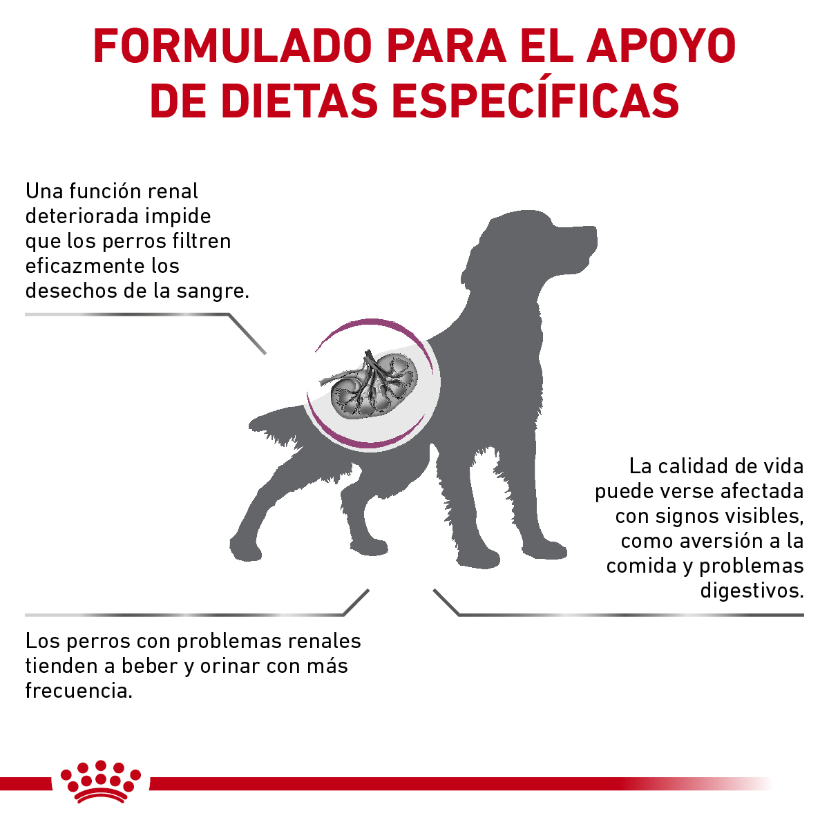 Royal Canin Renal Support S Canine 8 Kg