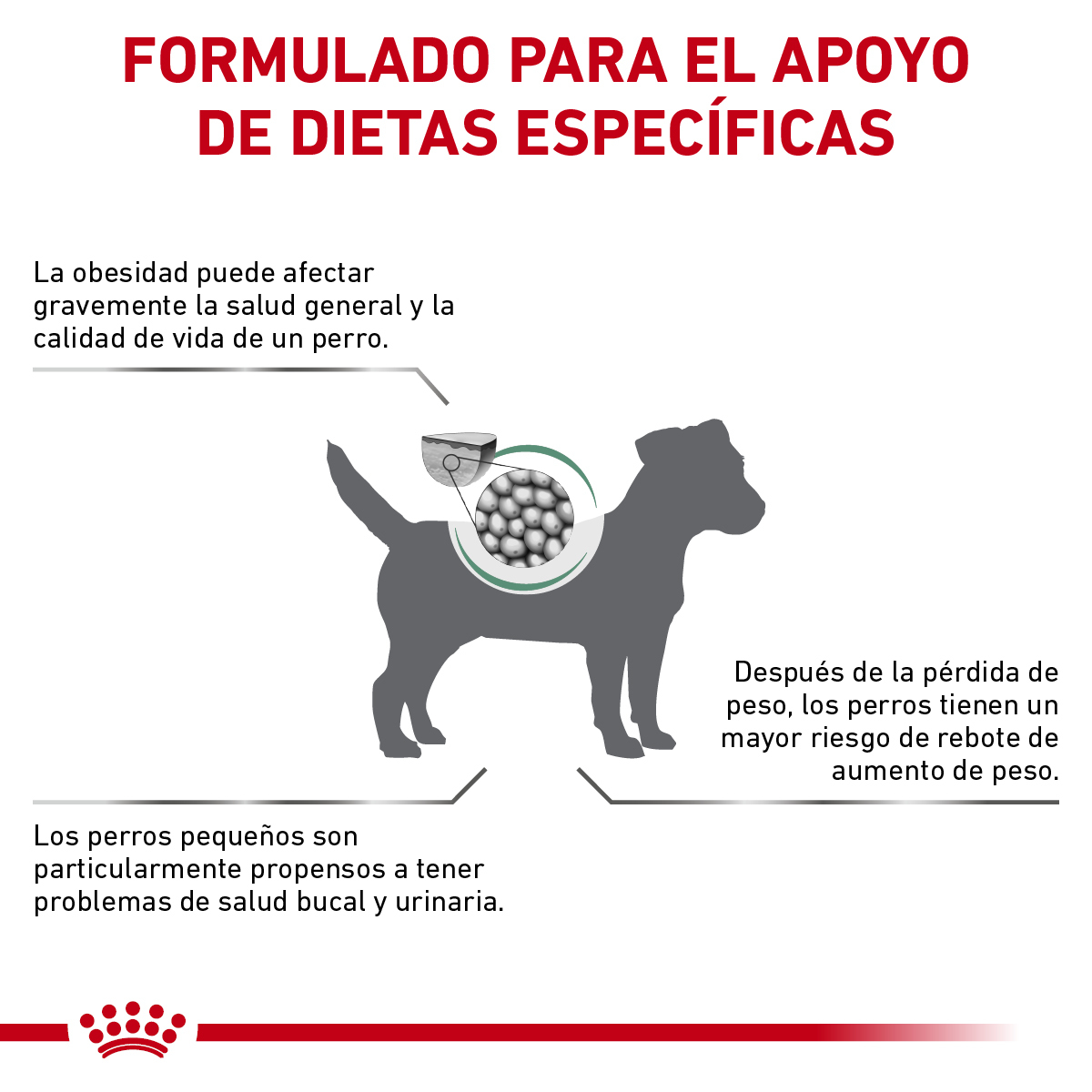 Royal Canin Satiety Support Small Dog 3 Kg