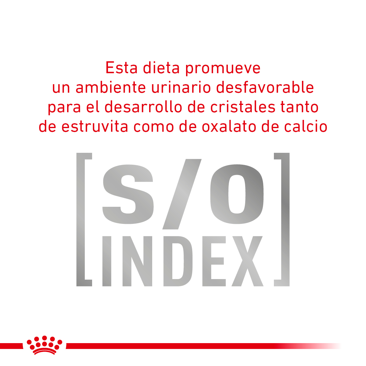 Royal Canin Satiety Support Small Dog 3 Kg