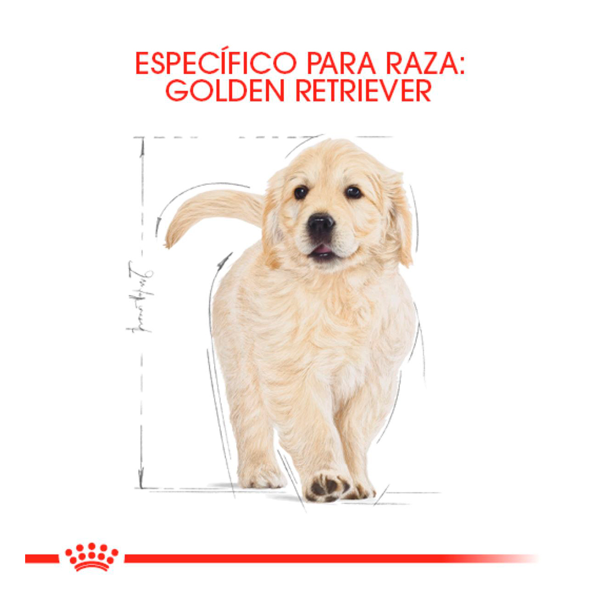 Royal Canin BHN Golden Retriever Puppy 13.6 Kg