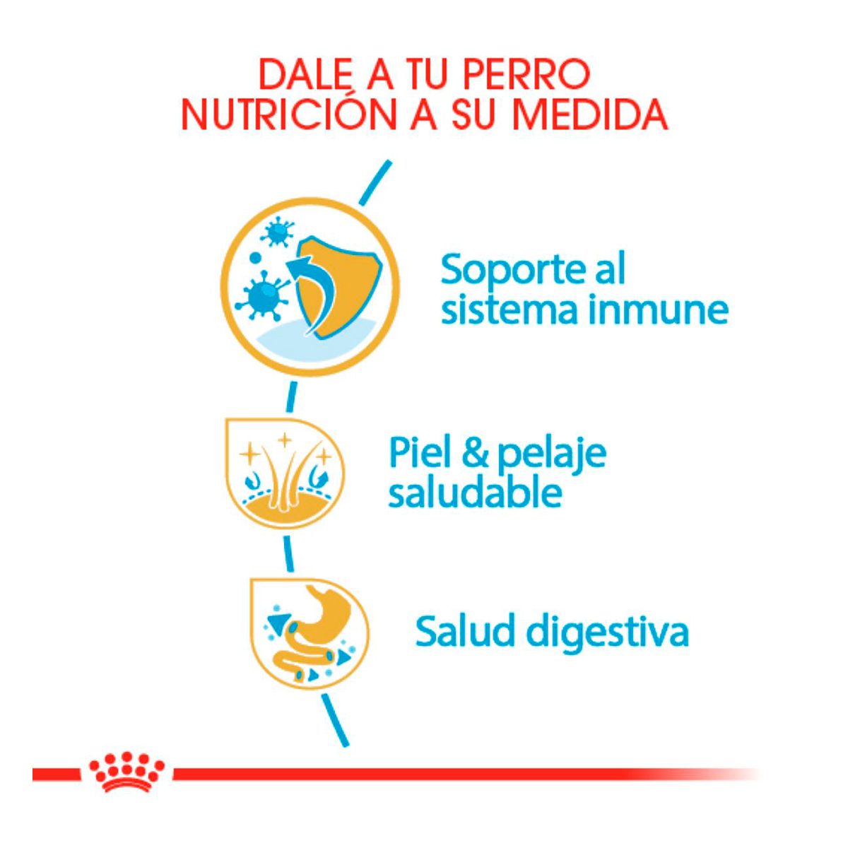 Royal Canin BHN Golden Retriever Puppy 13.6 Kg