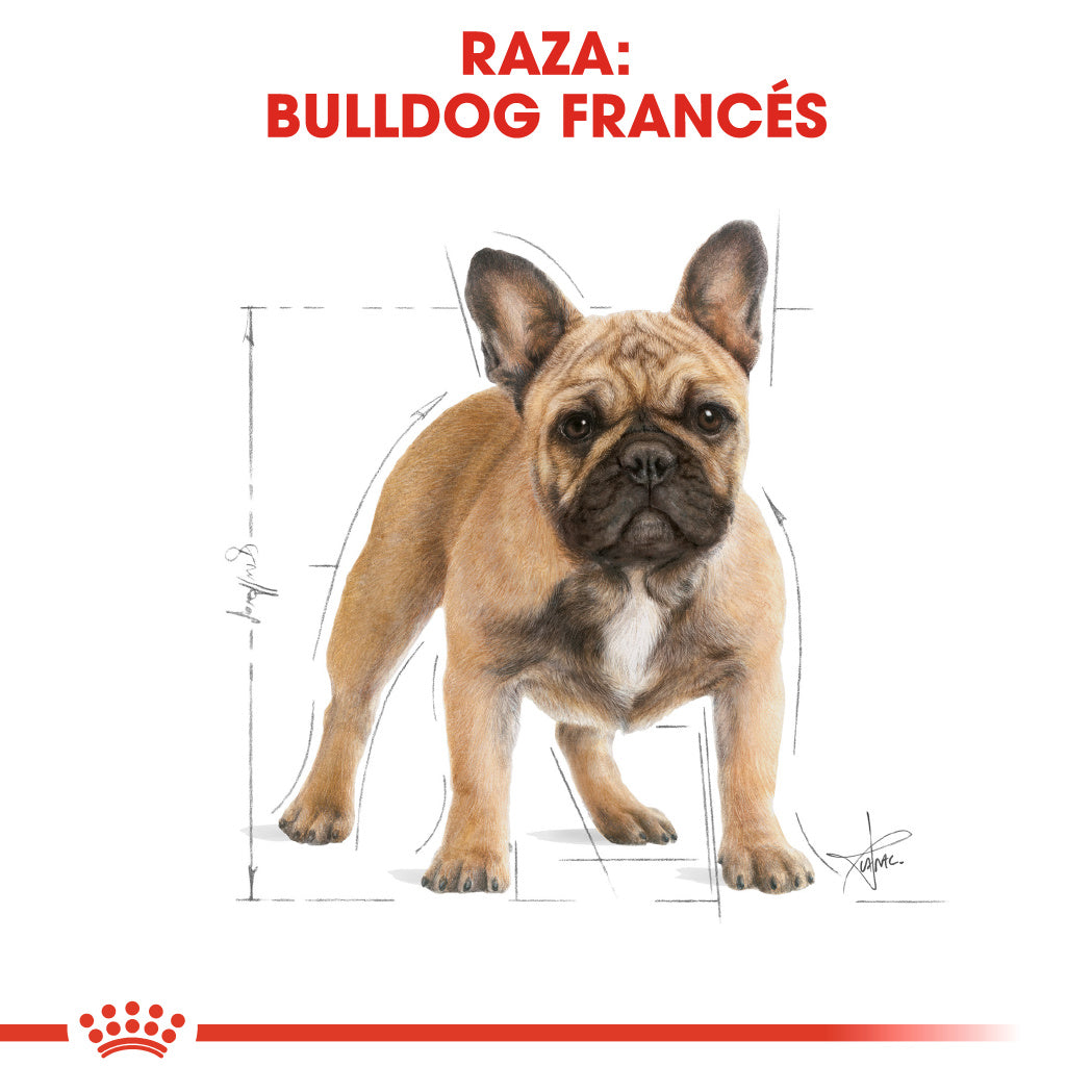 Royal Canin French Bulldog Adult 7.72 Kg