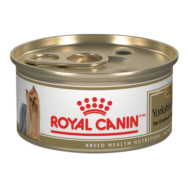 Royal Canin BHN Yorkshire Lata 85 Gr