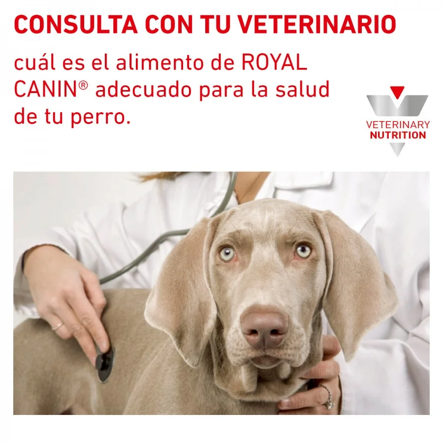 Royal Canin Recovery Canine/Feline Lata 150 Gr