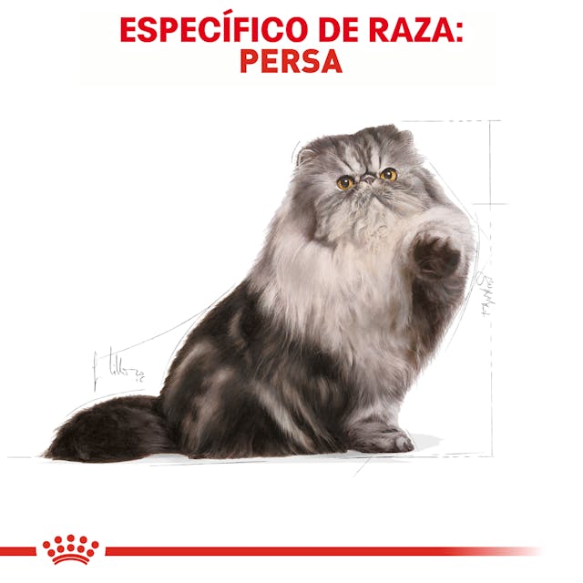 Royal Canin Persian 3.18 Kg