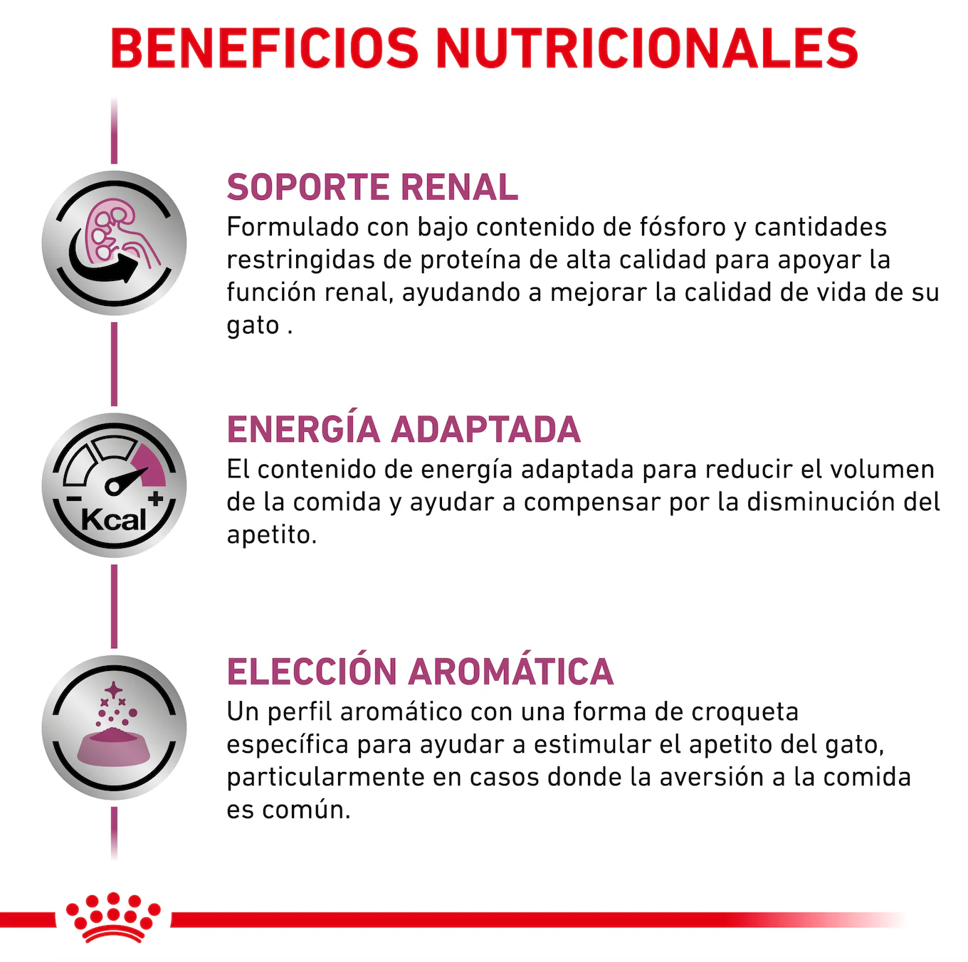 Royal Canin Renal Support E Feline Lata 145 Gr