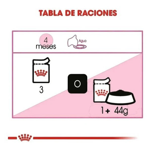Royal Canin Kitten Loaf in Sauce Sabor Pollo | Alimento Húmedo para Gatitos – Crecimiento Saludable