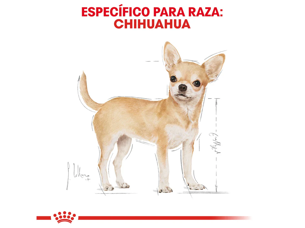 Royal Canin BHN Chihuahua Lata 85 Gr