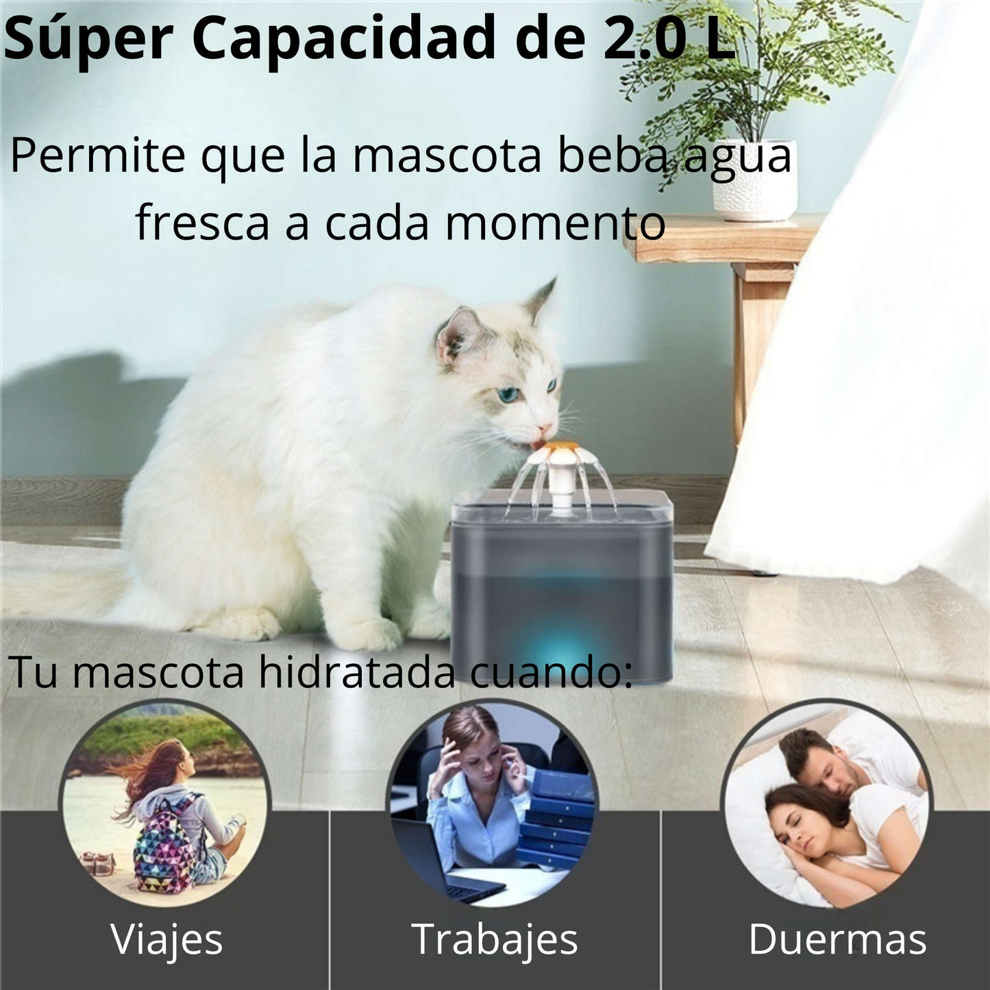 Bebedero tipo fuente automático de 2 litros para perros pequeños/medianos y gatos