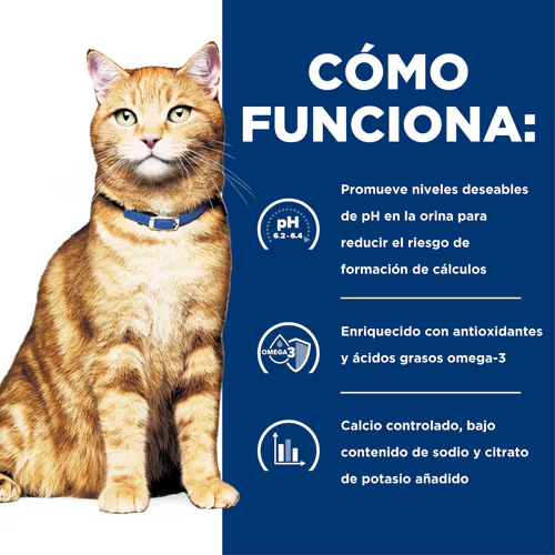 Cuida la Salud Urinaria de tu Gato con Hill’s c/d Multicare
