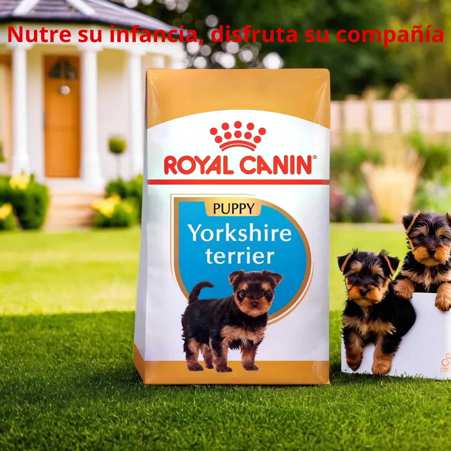 Royal Canin BHN Yorkshire Terrier Puppy 1.14 Kg