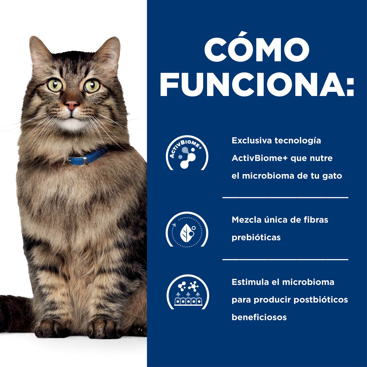 Hill's Prescription Diet Gastrointestinal Biome Estofado para Gato Adulto – Caja con 24 Latas de 80g
