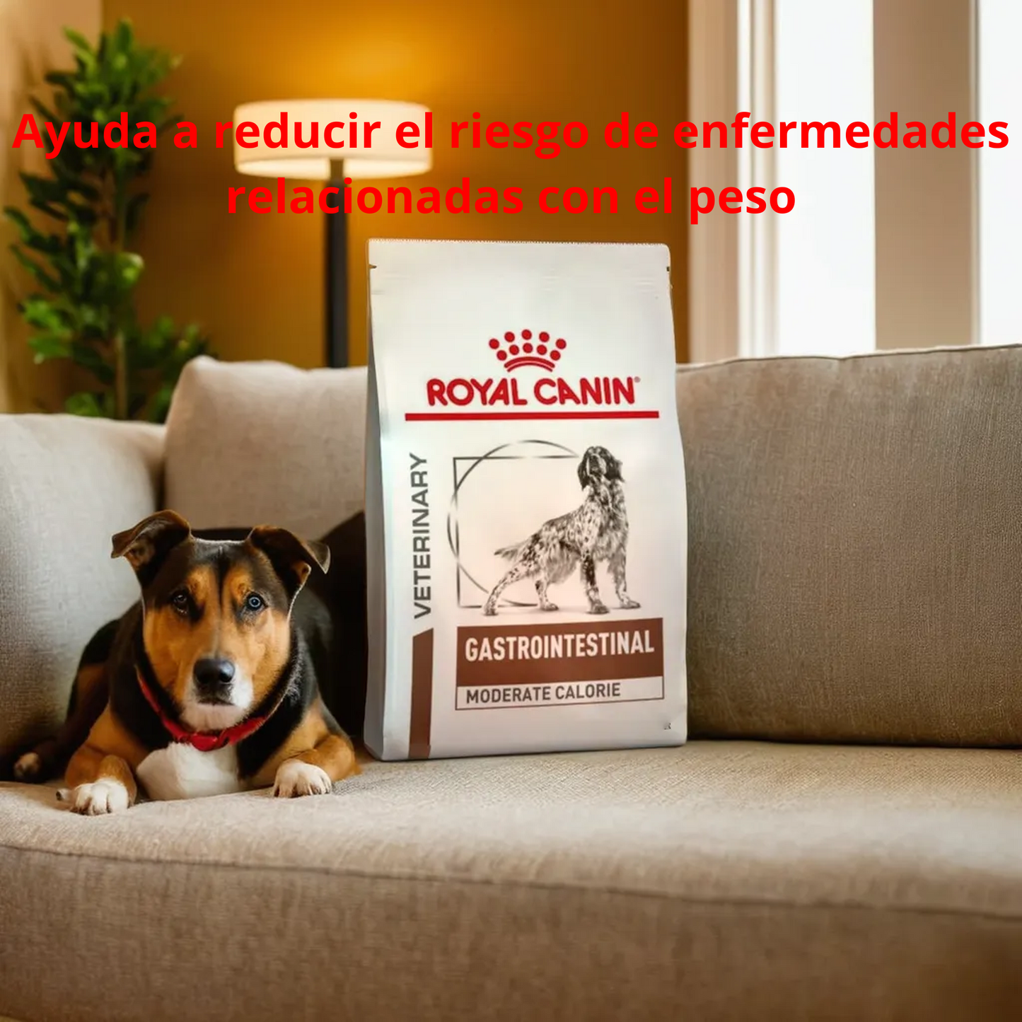 Royal Canin GI Moderate calorie 3.5 Kg