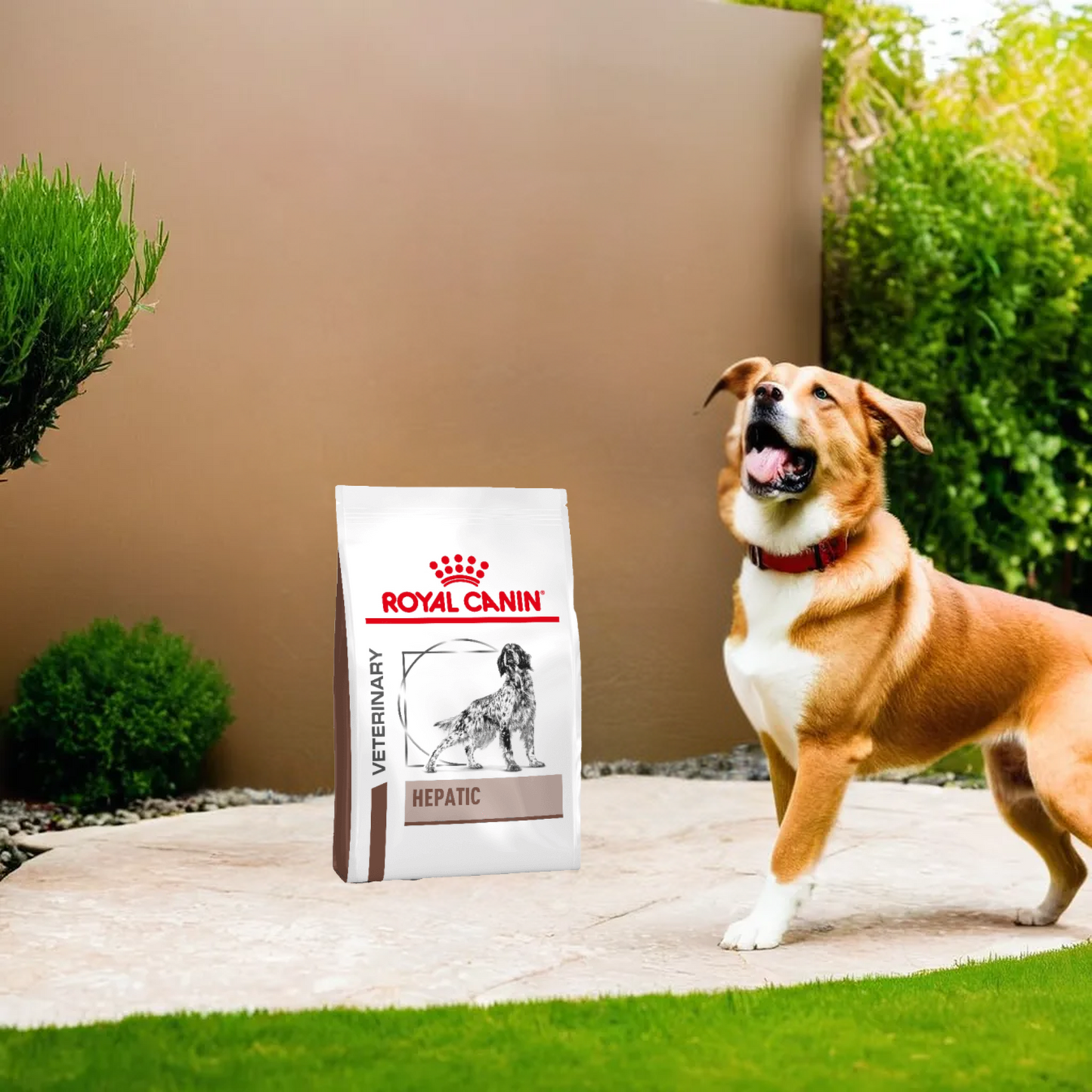 Royal Canin Hepatic Dog 3.5 Kg