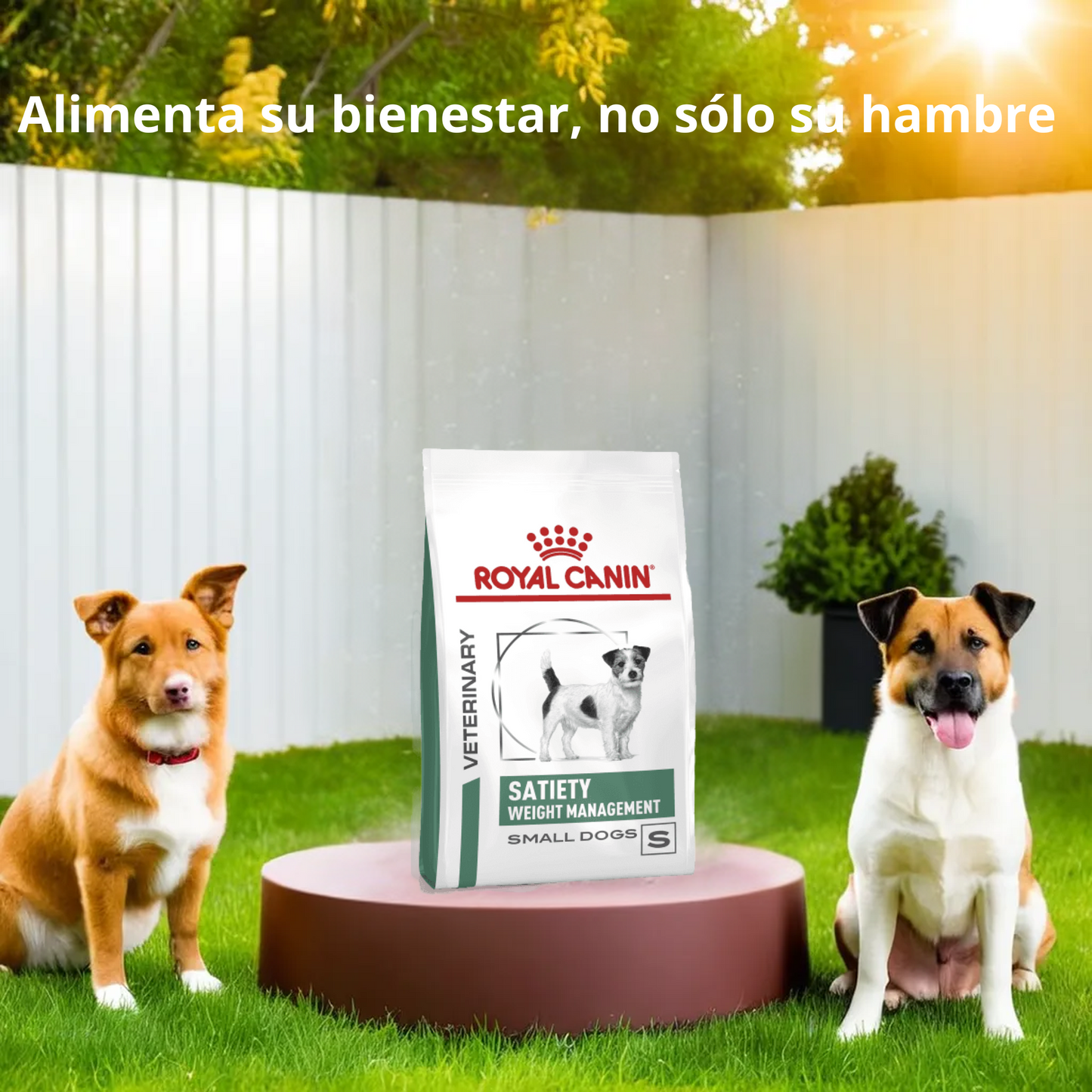 Royal Canin Satiety Support Small Dog 3 Kg