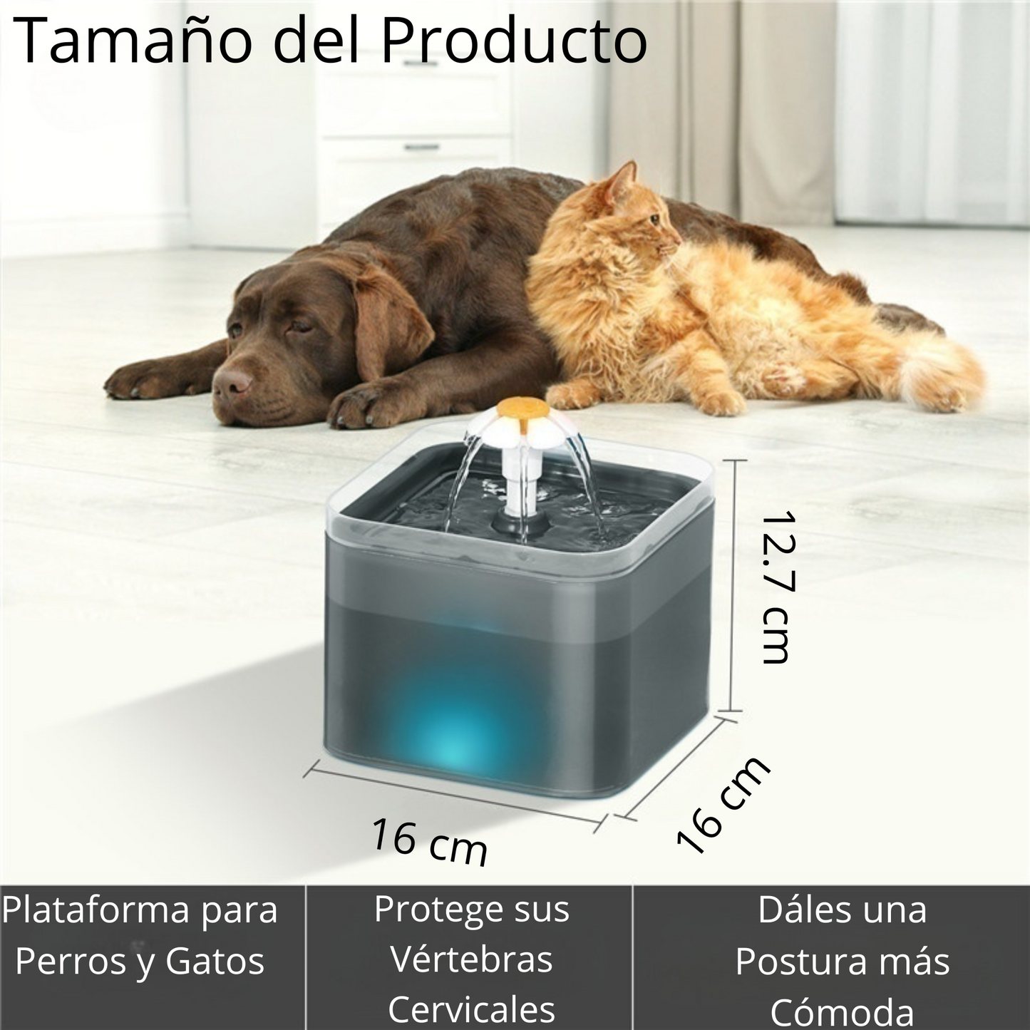 Bebedero tipo fuente automático de 2 litros para perros pequeños/medianos y gatos