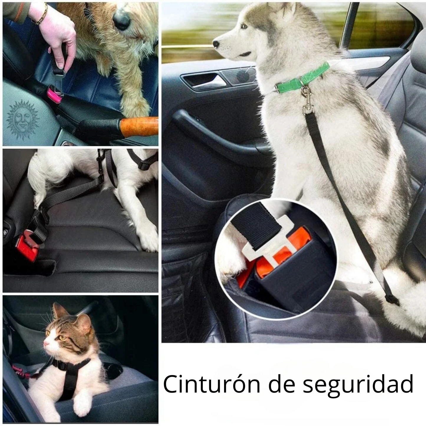 Cinturón de seguridad para mascotas ajustable al automóvil (perros y gatos)