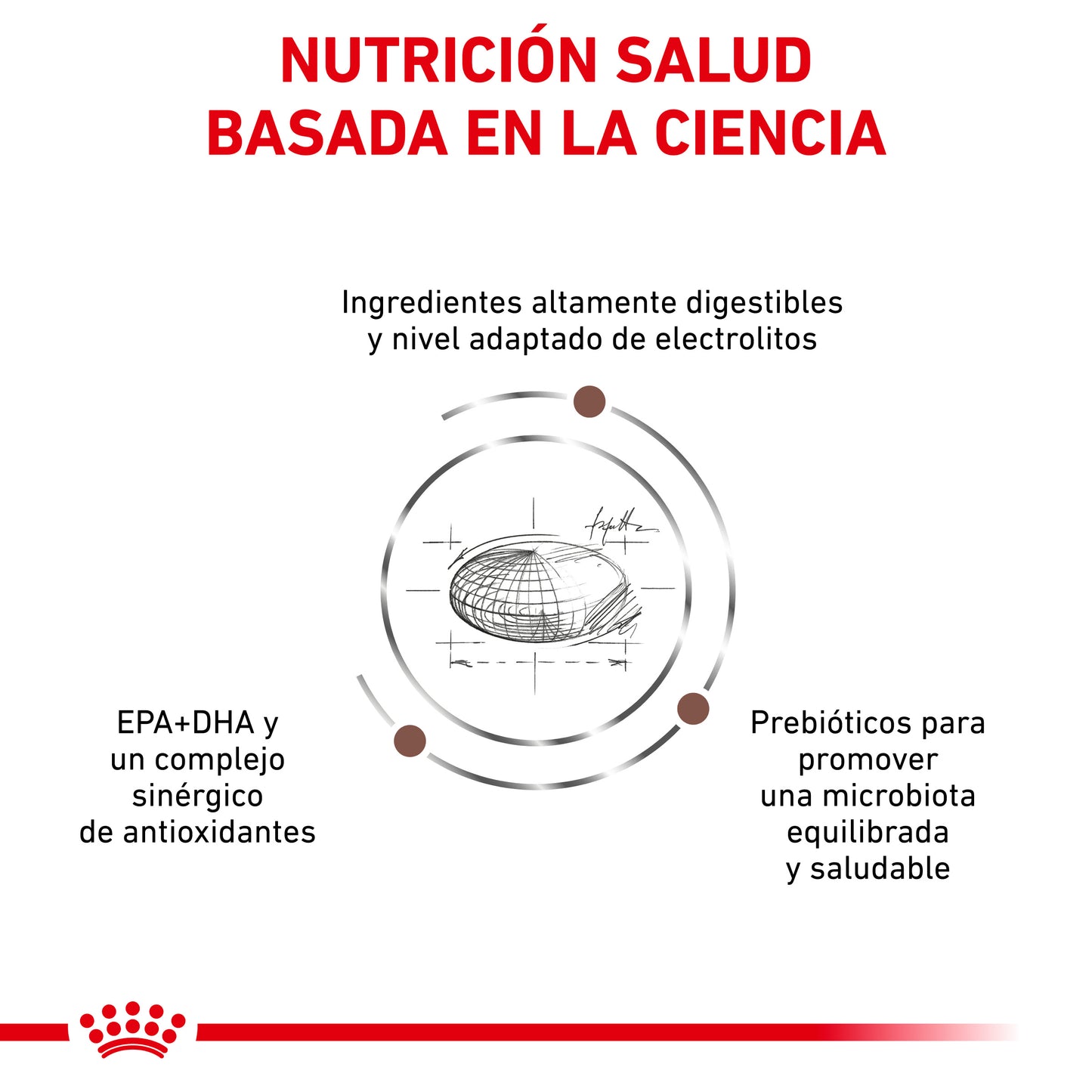 Royal Canin Gastrointestinal 10 Kg