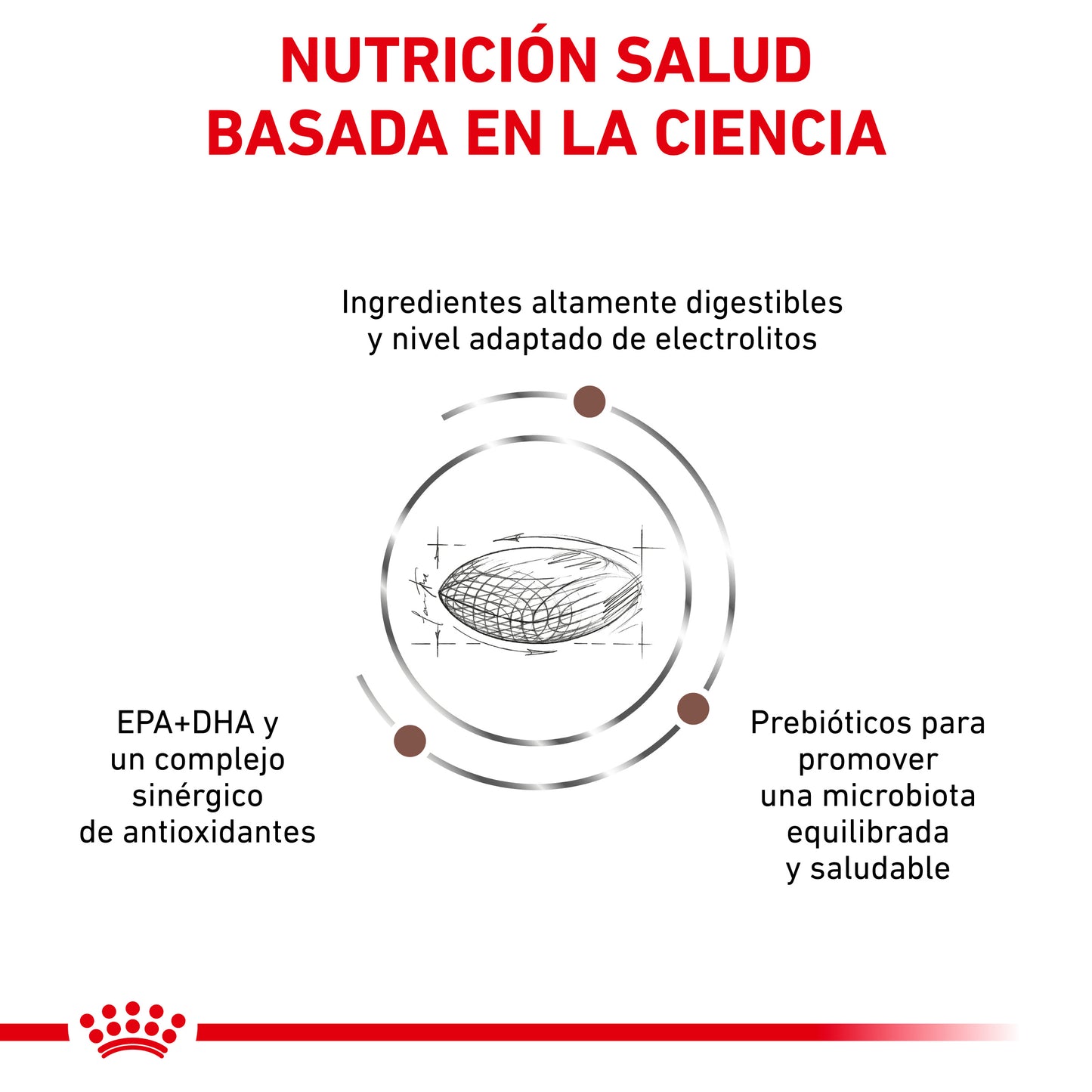 Royal Canin Gastrointestinal Low Fat 13 Kg
