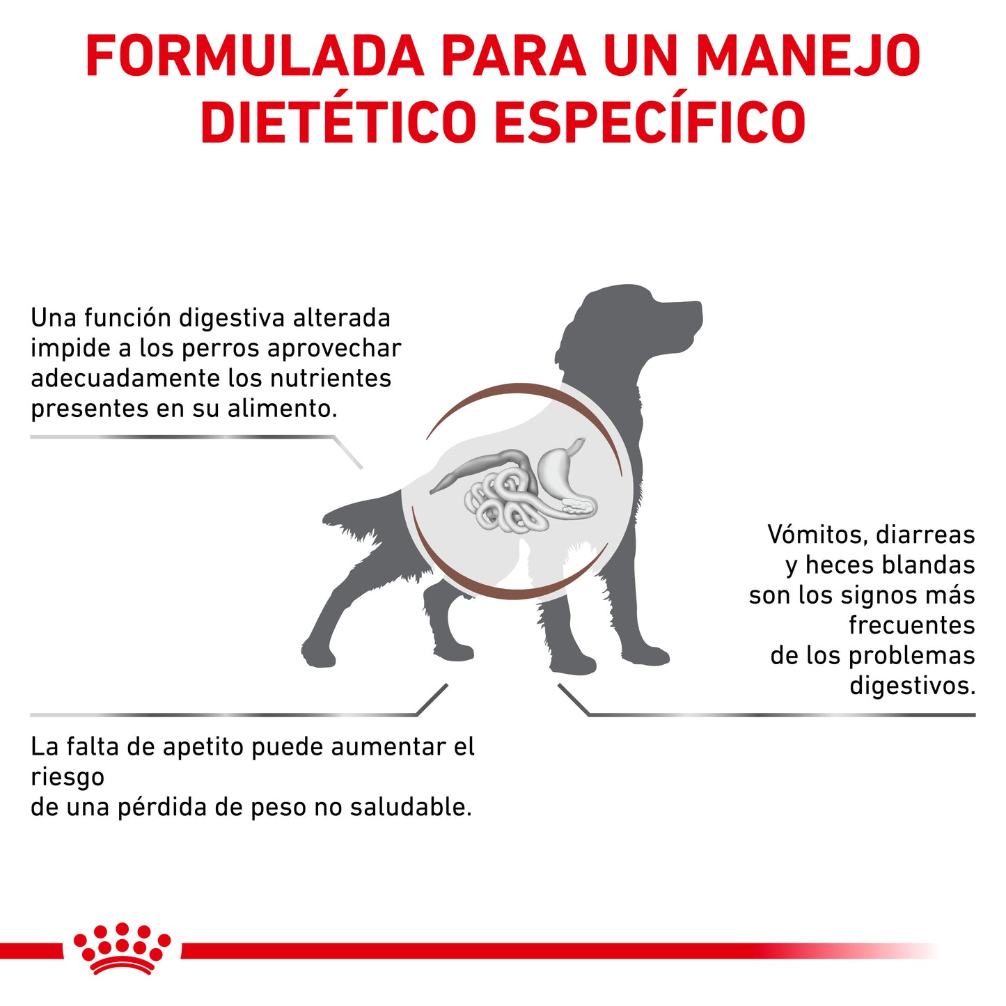 Royal Canin Gastrointestinal 10 Kg