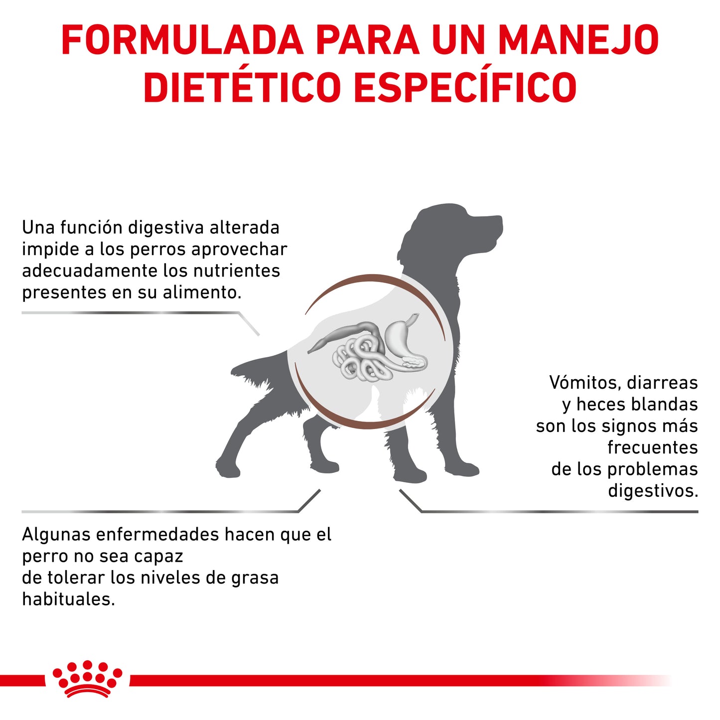 Royal Canin Gastrointestinal Low Fat 13 Kg