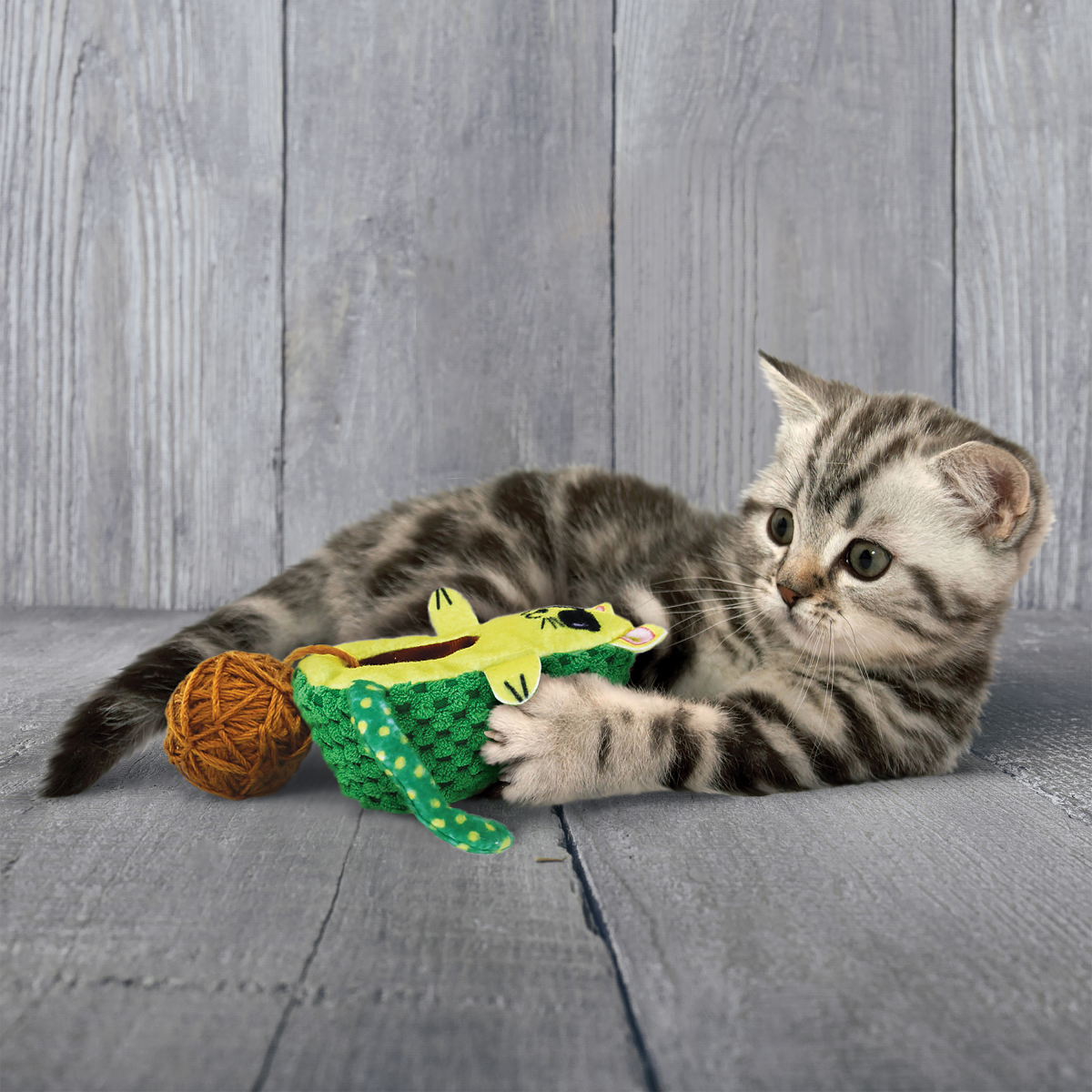 Kong Gato Aguacate con Bola de Hilo