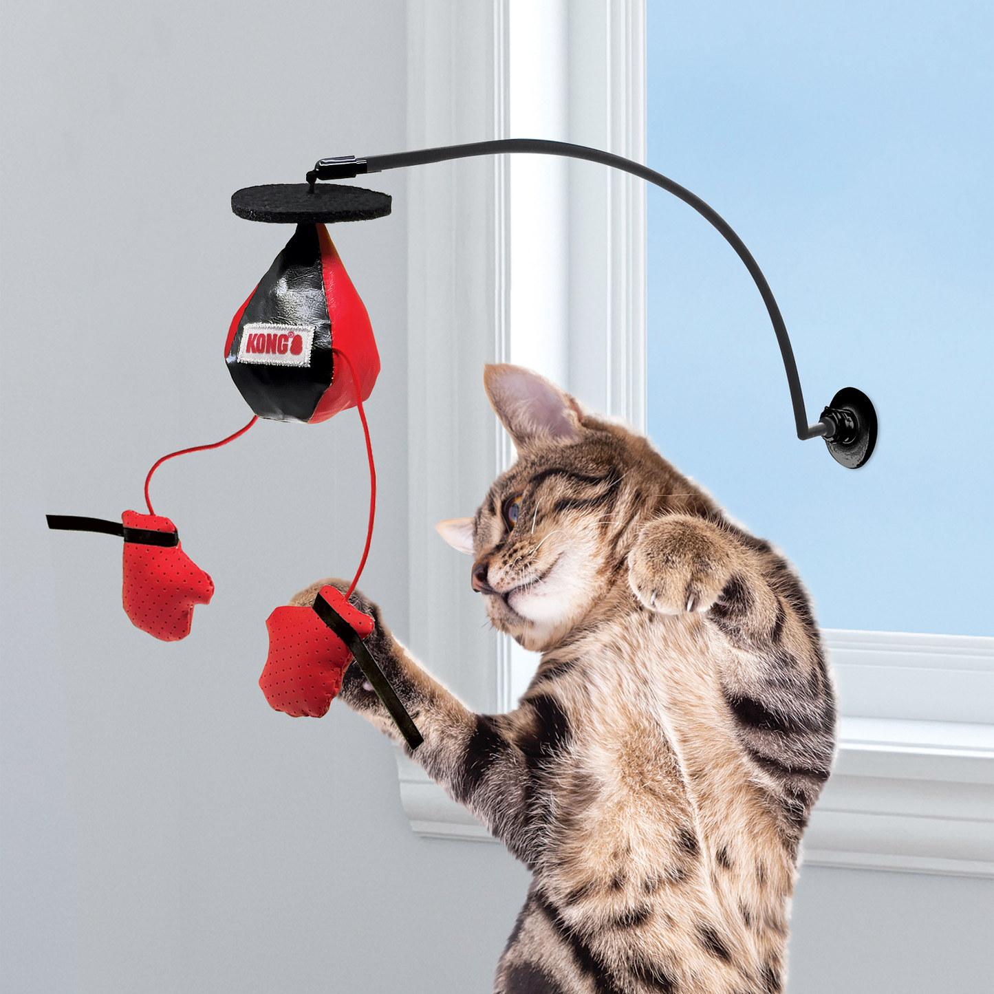 Kong Juego de Boxeo con Catnip