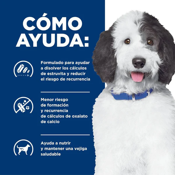 Delicioso cuidado urinario: Hill’s c/d Urinary Care Estofado – 12 latas de sabor y alivio para tu peludo 🐶🍲💧