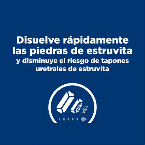 Adiós a los Cálculos: Hill’s s/d para Gatos con Problemas Urinarios