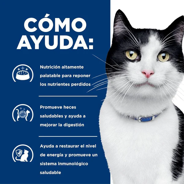 Hill's Prescription Diet i/d para Gato Adulto – Cuidado Digestivo en 24 Latas de 156g