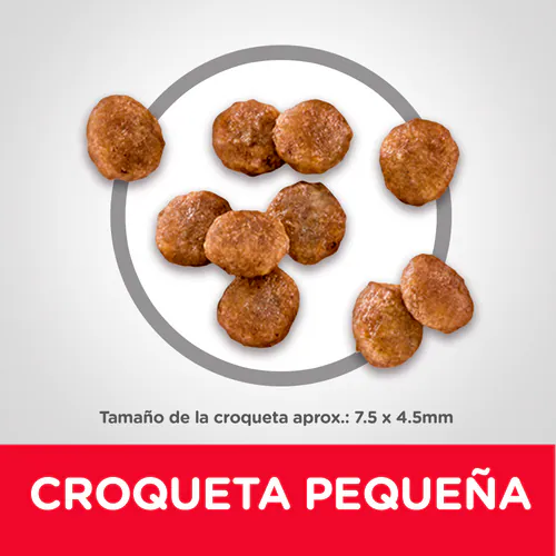 Hill’s Science Diet Small & Mini – Amor en Cada Croqueta para tu Perro de Raza Pequeña