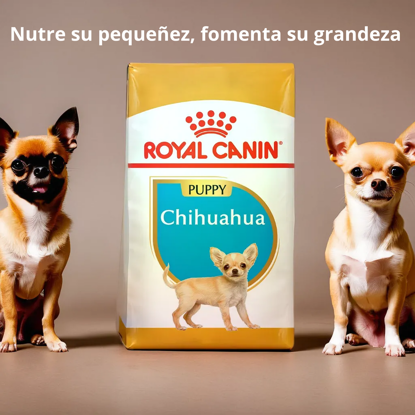 Royal Canin BHN Chihuahua Puppy 1.14 Kg