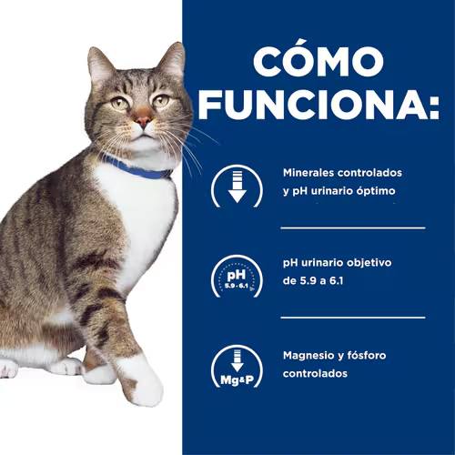 Adiós a los Cálculos: Hill’s s/d para Gatos con Problemas Urinarios