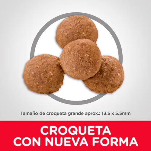 Hill’s Science Diet Puppy Raza Grande | Pollo y Avena – Alimento Nutritivo para Cachorros Grandes y Gigantes