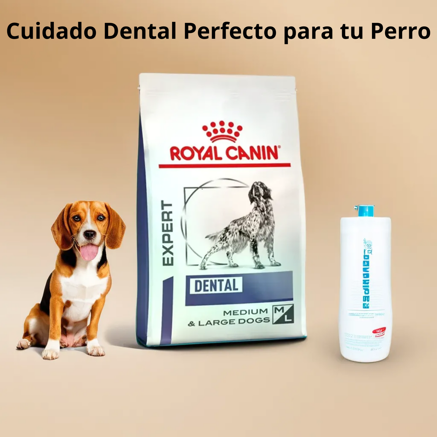Royal Canin Dental Dry Dog 8 Kg