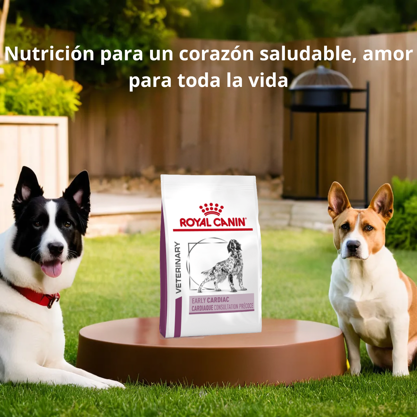 Royal Canin Early Cardiac 3.5 Kg